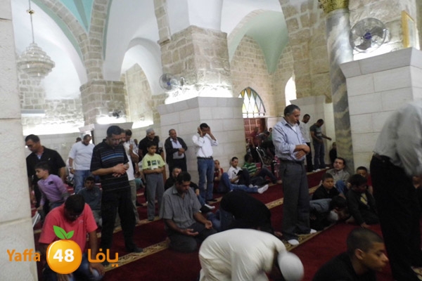 jom3aludwahbany (15).JPG